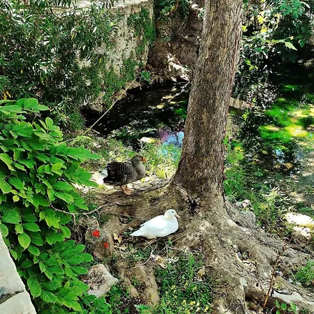Casa Sul Milopotamos (Kythira)
