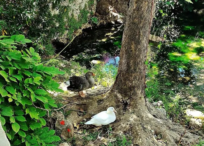 Casa Sul Milopotamos (Kythira)